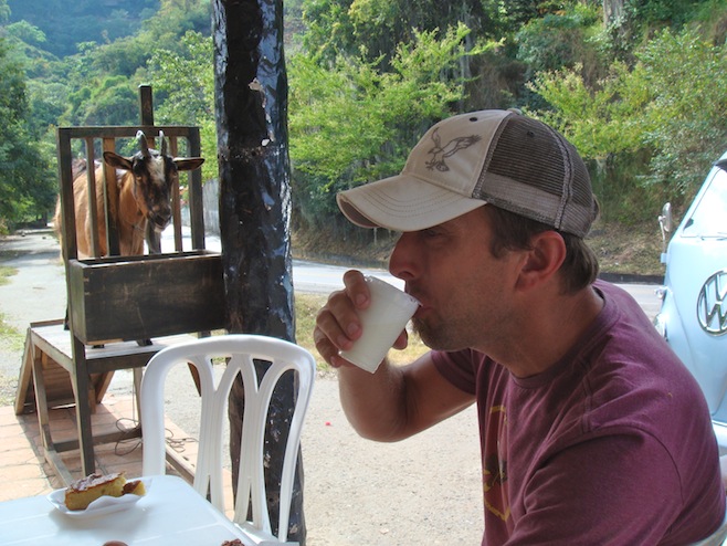 COL Fresh Milk